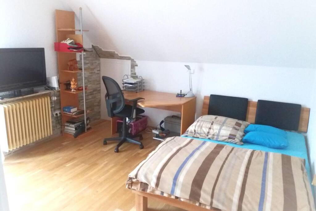 Neue, Helle Wohnung In Ludwigsburg, Nah Am Schloss Dış mekan fotoğraf